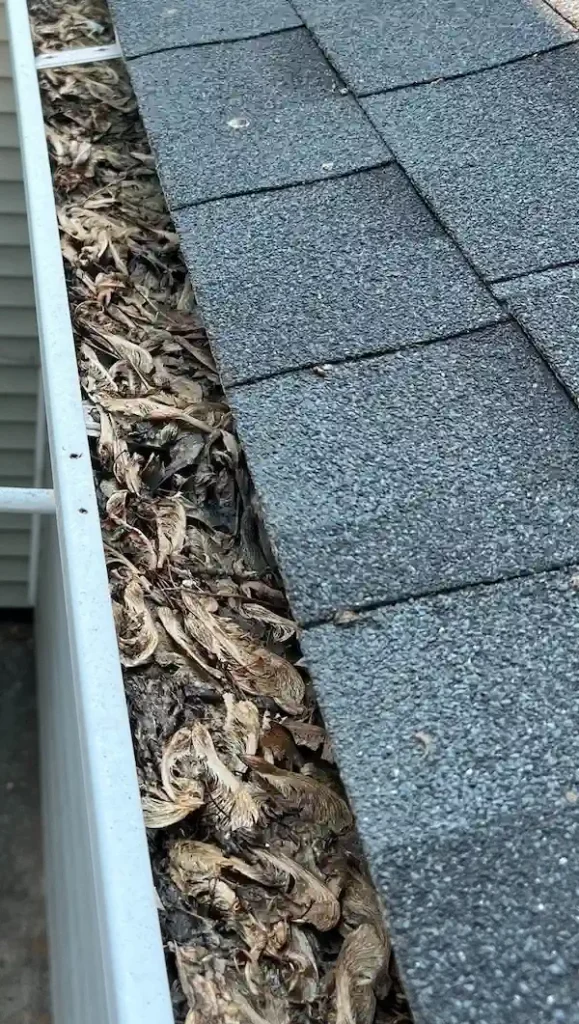 Clogged gutter with debris in Peoria, IL.