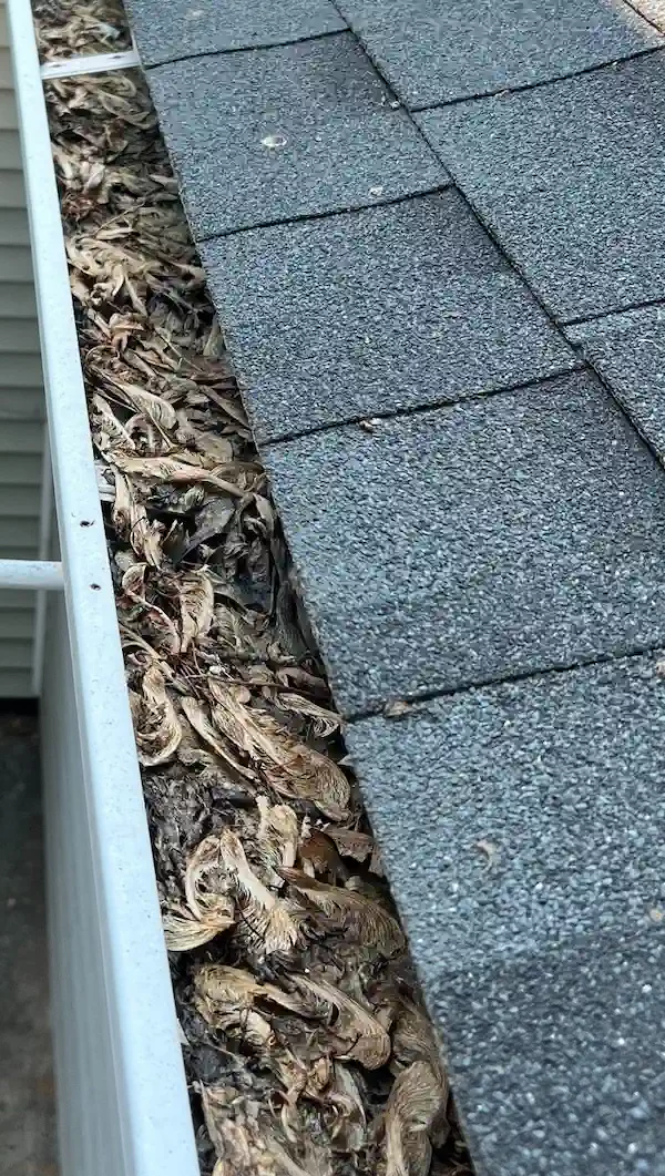 Clogged gutter with debris in Peoria, IL.